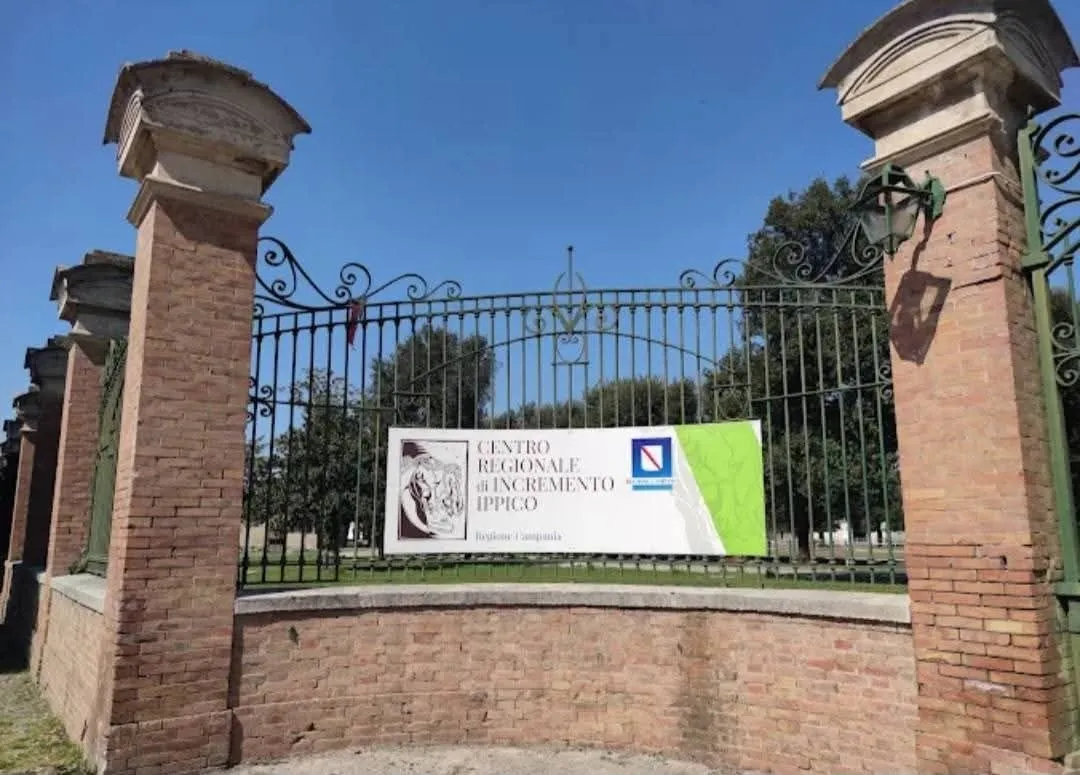 Cancello d'ingresso del Centro Regionale di Incremento Ippico tra due pilastri in mattoni