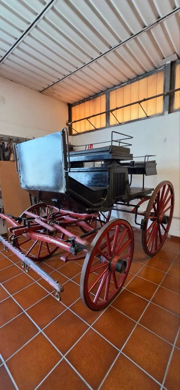 Carrozza storica nera con ruote rosse esposta nel Museo delle Carrozze