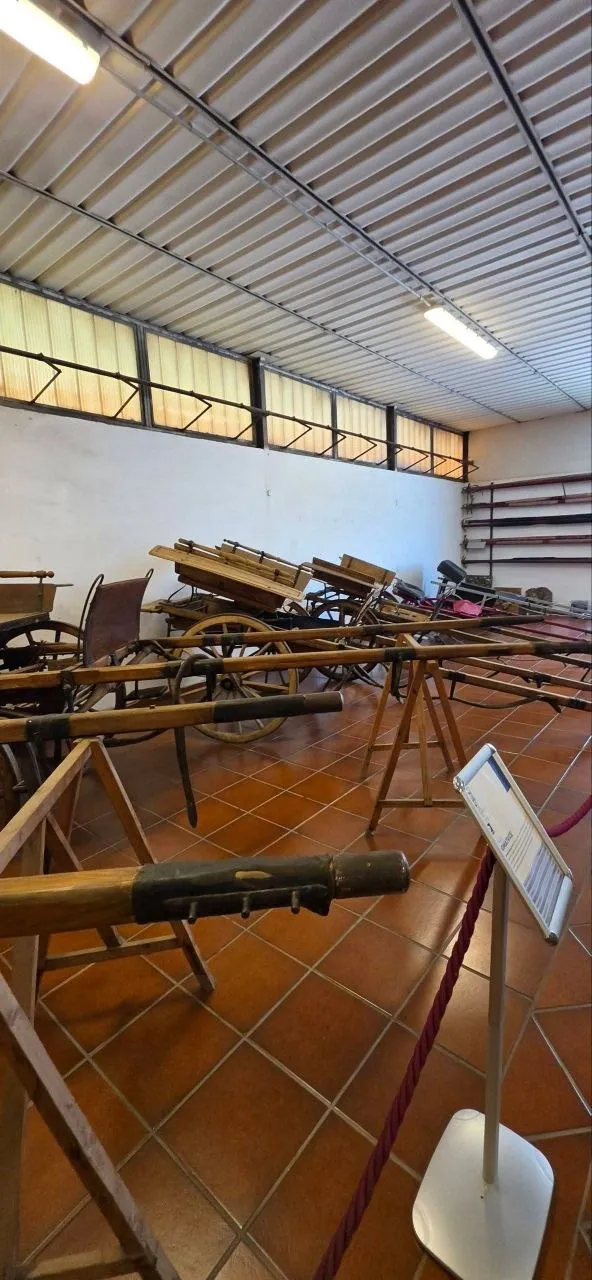 Sala del museo con antichi carri e attrezzi da tiro disposti sul pavimento in cotto