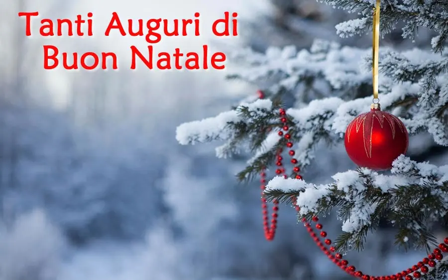 Immagine dall'articolo «BUON NATALE TESORI»