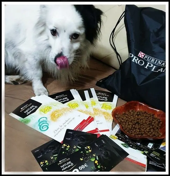 cani PURINA PRO PLAN.