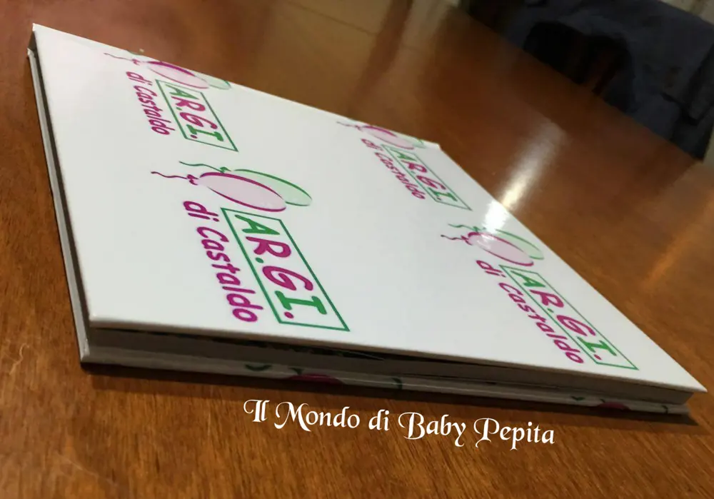 Immagine dall'articolo «Saal-digital»