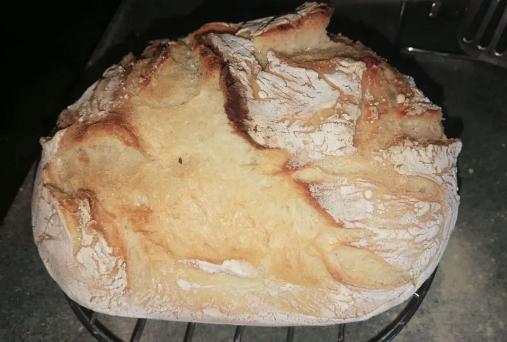 pane giovy