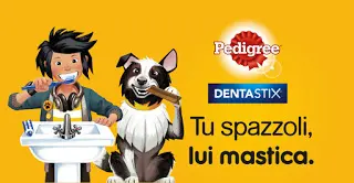 Immagine di copertina dell’articolo «Pedigree - dentastix - snack per cani»
