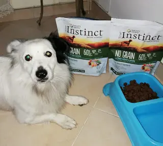 cani 3