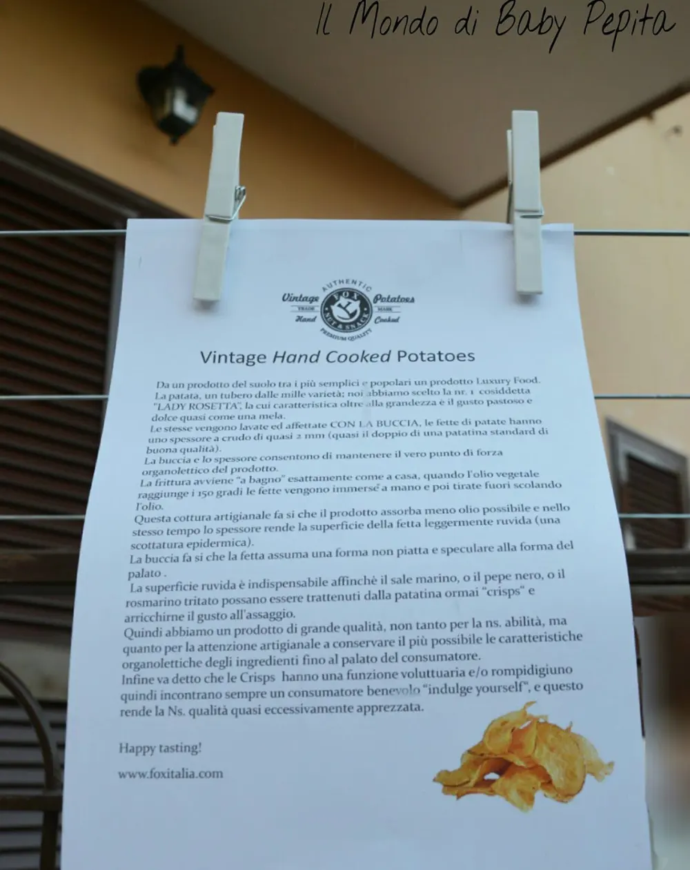 Immagine dall'articolo «FOX NUT & SNACK - BAR ITALIA»