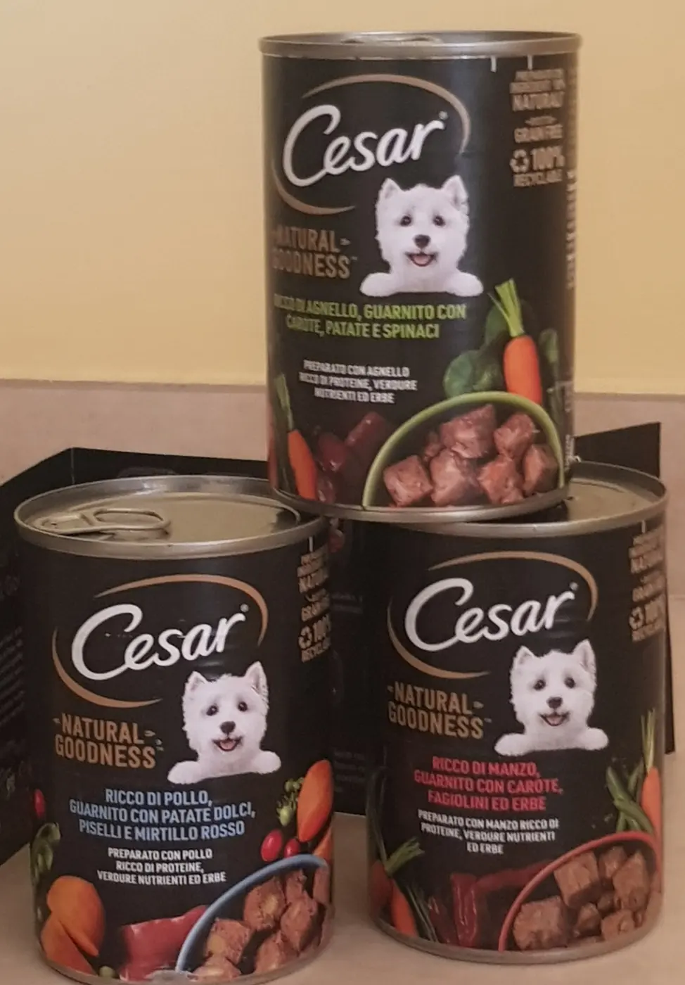 Cesar lattine