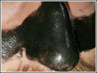 igiene 5